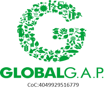 g_logo_green_rgb